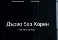 Дърво без корен